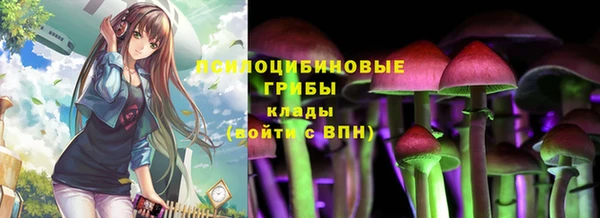 прущая мука Краснослободск