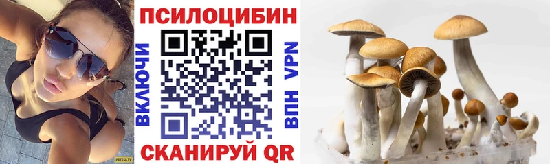 Галлюциногенные грибы Cubensis Кола
